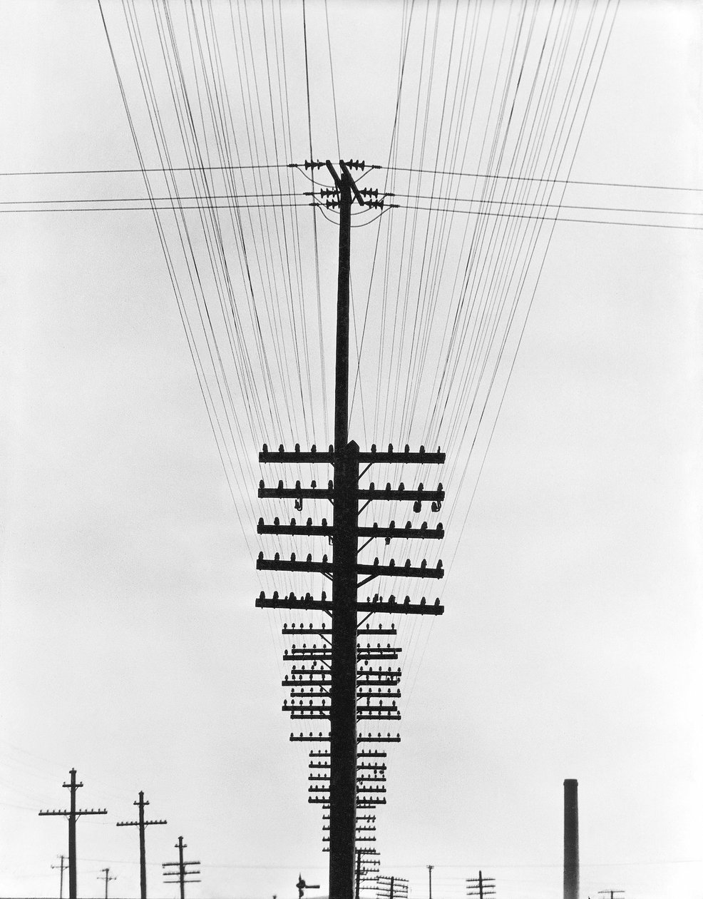 Telegraph Wires, Mexico, 1925 af Tina Modotti