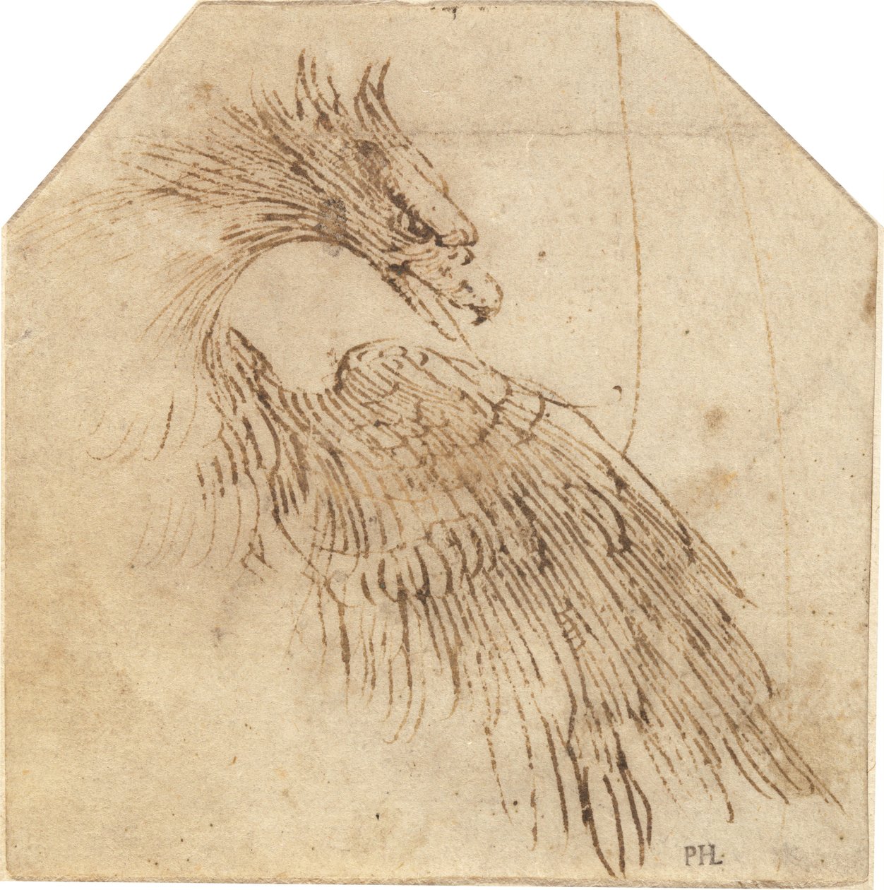 En ørn af Titian