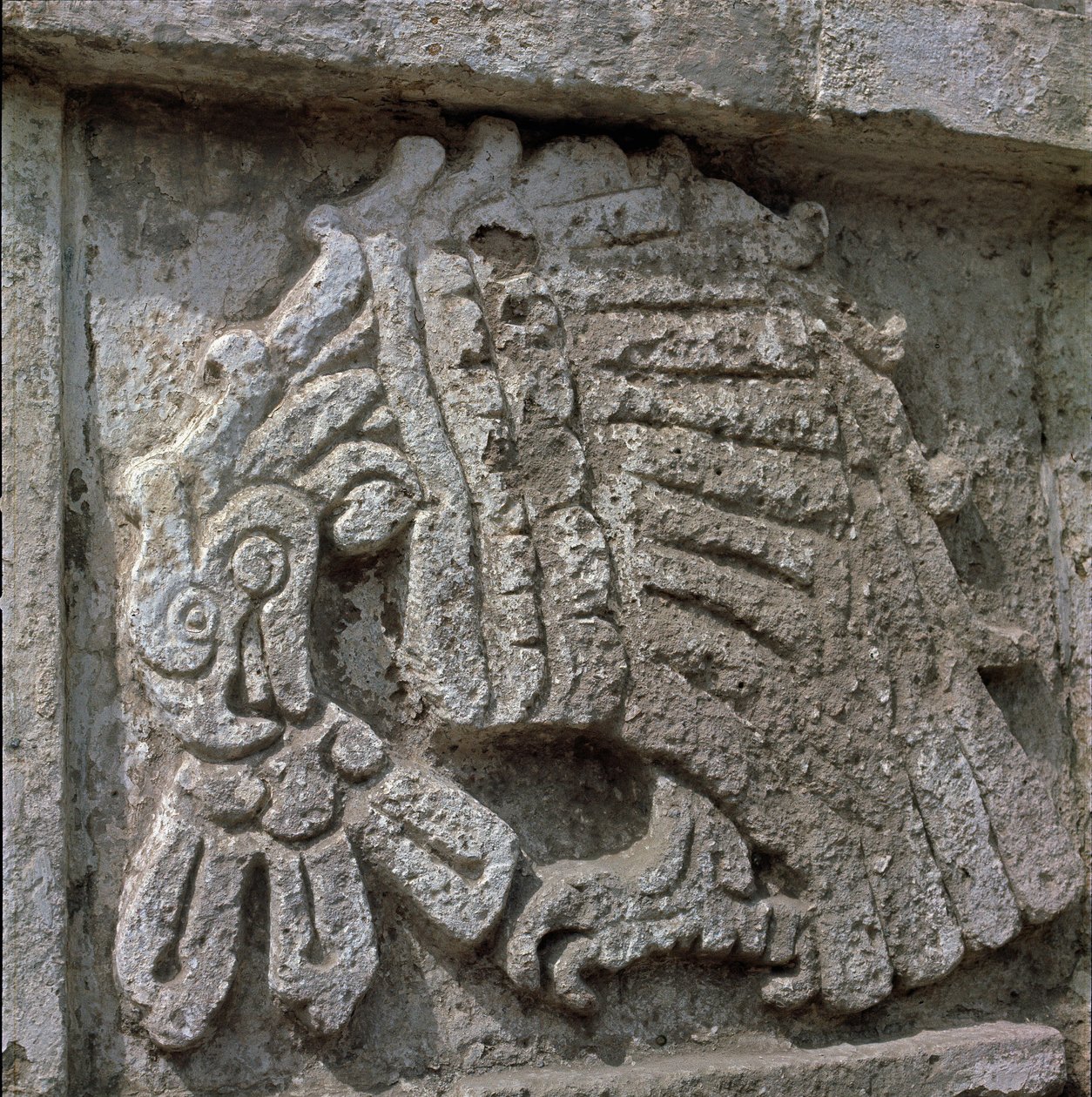 Relief af en ørn, Quetzalcoatls tempel af Toltec Toltec