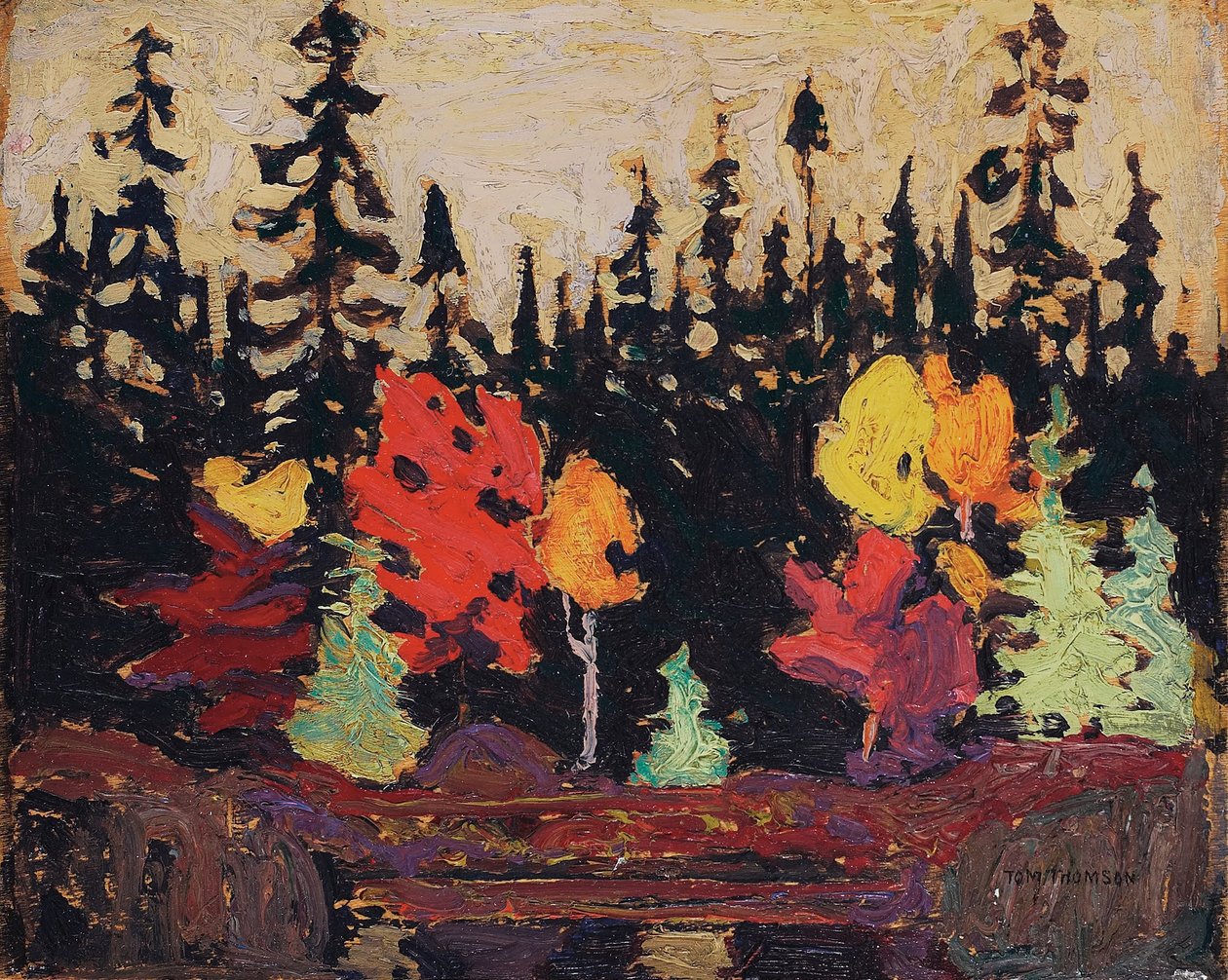 Sort gran og ahorn af Tom Thomson