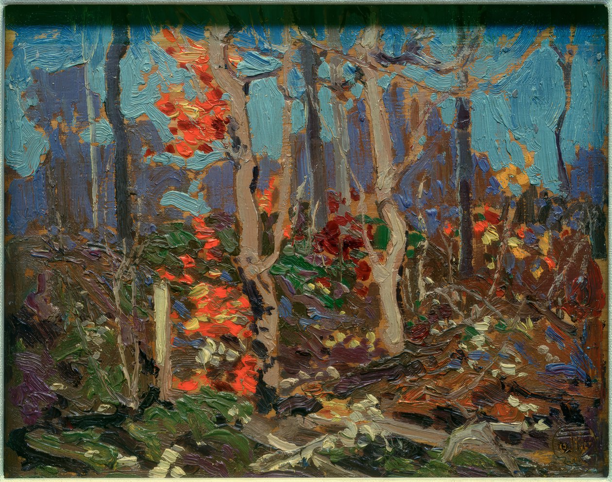 Ragged Oaks af Tom Thomson