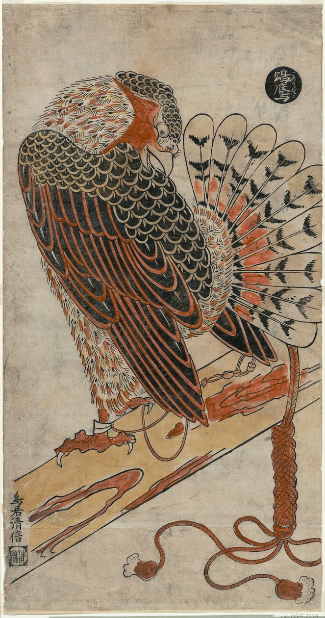 Sparrowhawk (Konori Taka) af Torii Kiyomasu I