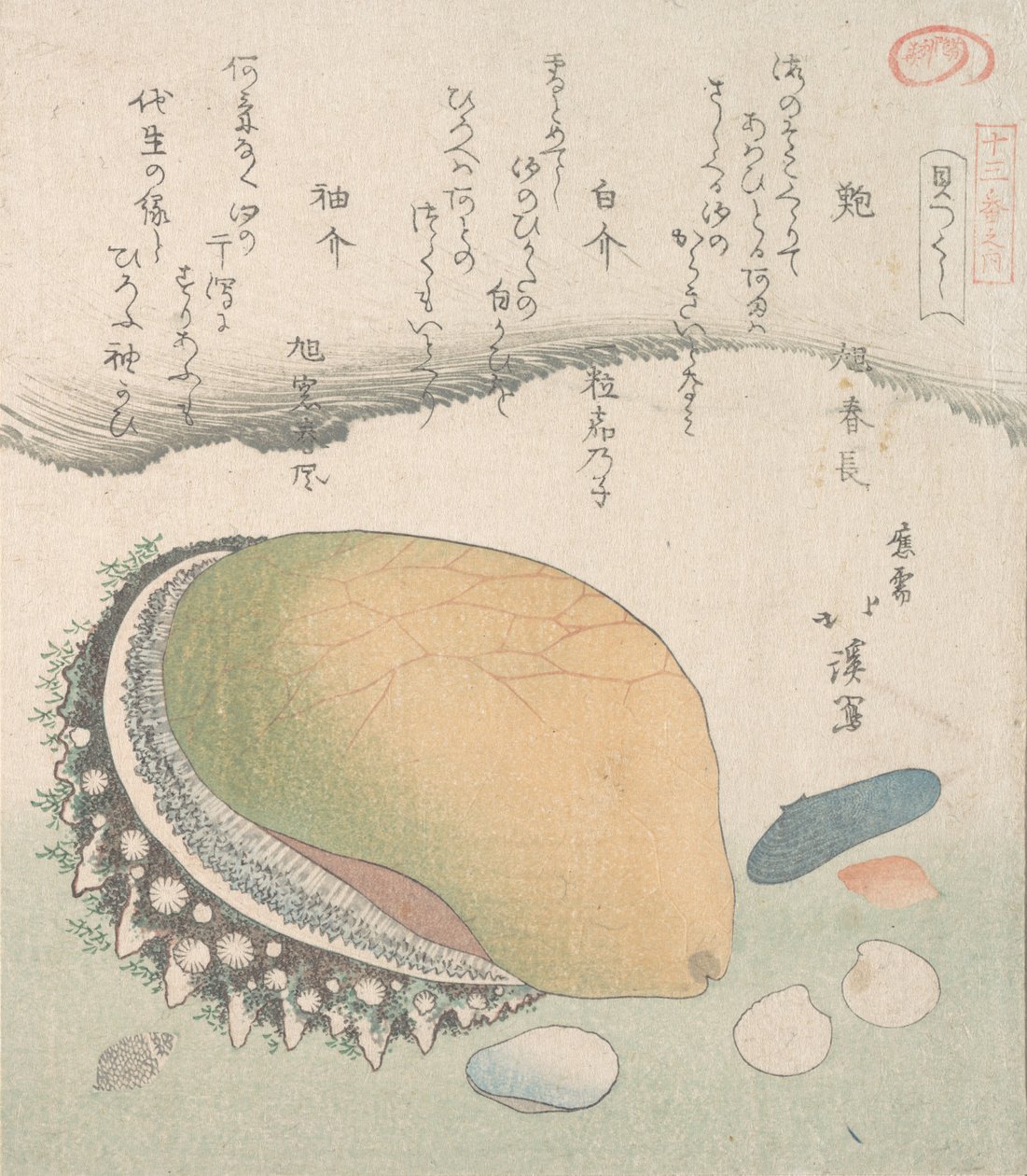 Awabi øreskall og forskellige skaller, 1800-tallet. af Totoya Hokkei