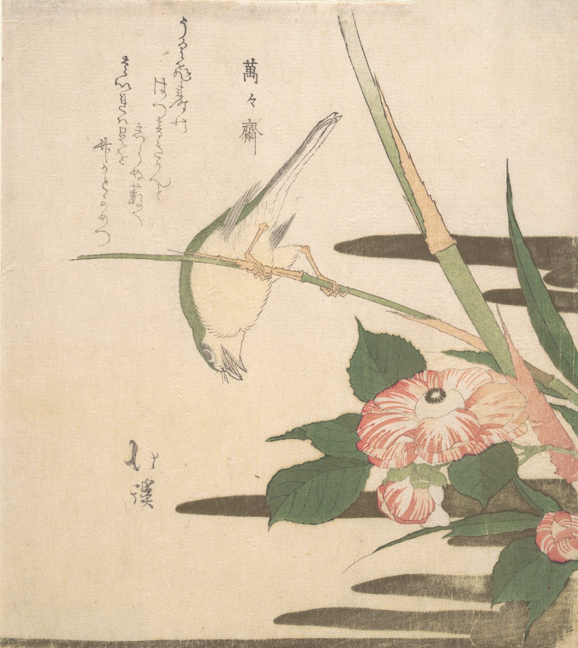 Warbler og Camellia, ca. 1815-20. af Totoya Hokkei