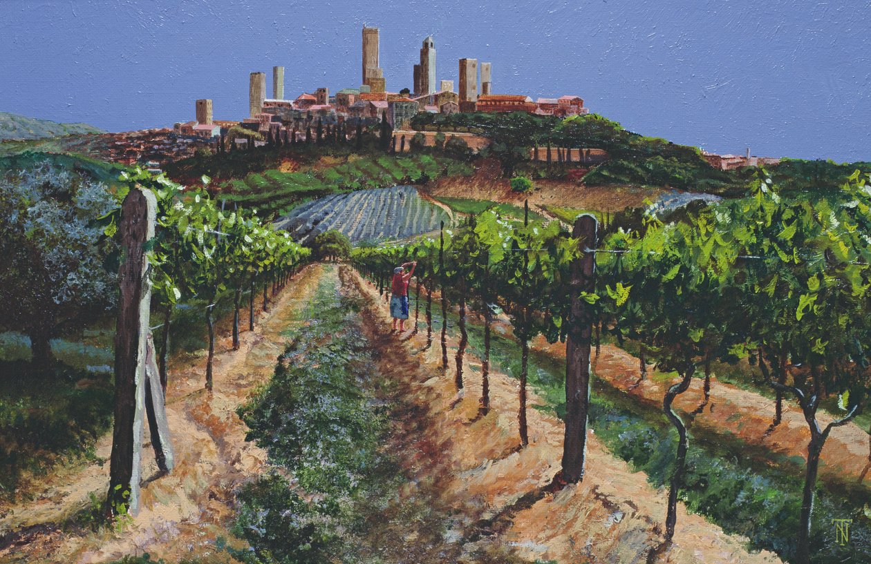 Grape Vines, San Gimignano, Toscana, 1998 af Trevor Neal