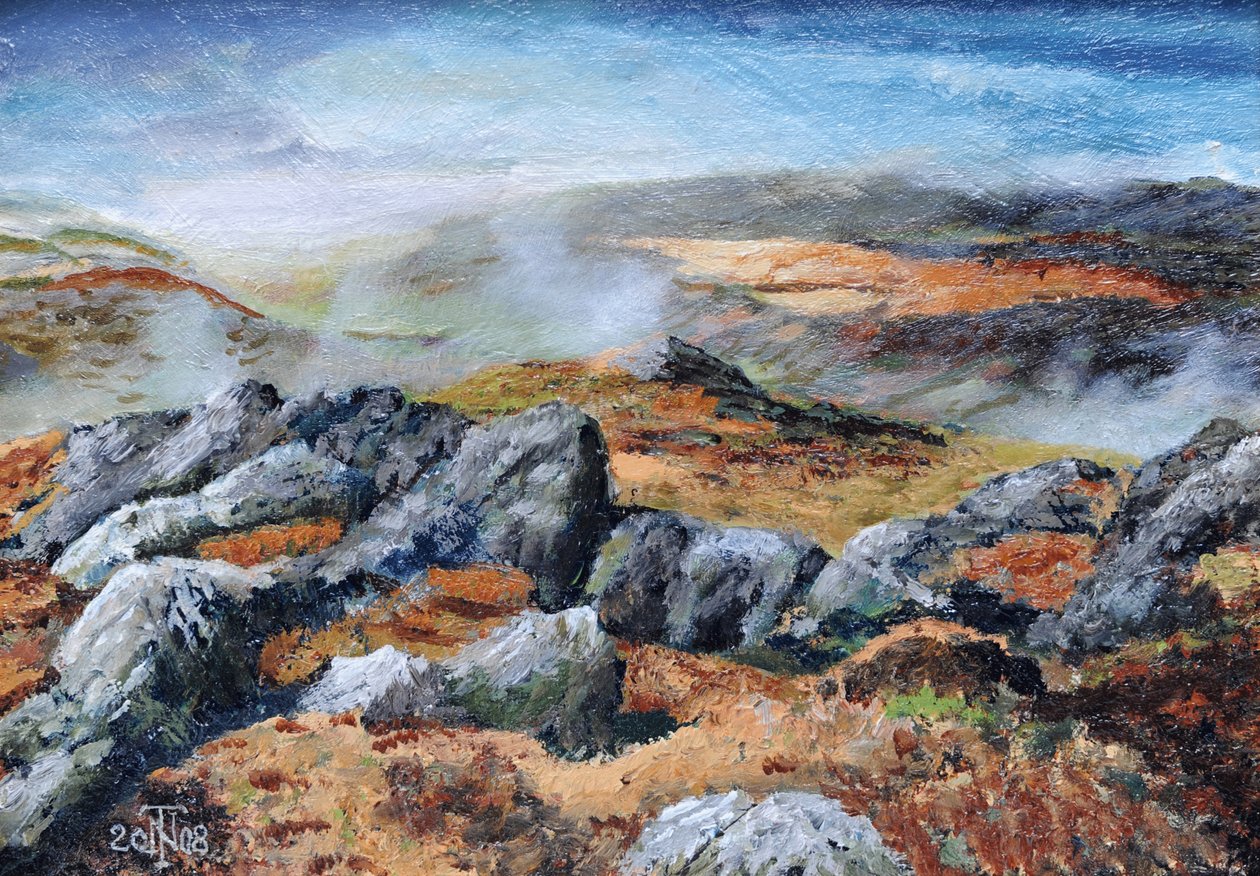 Langdales top, Cumbria, 2008 af Trevor Neal