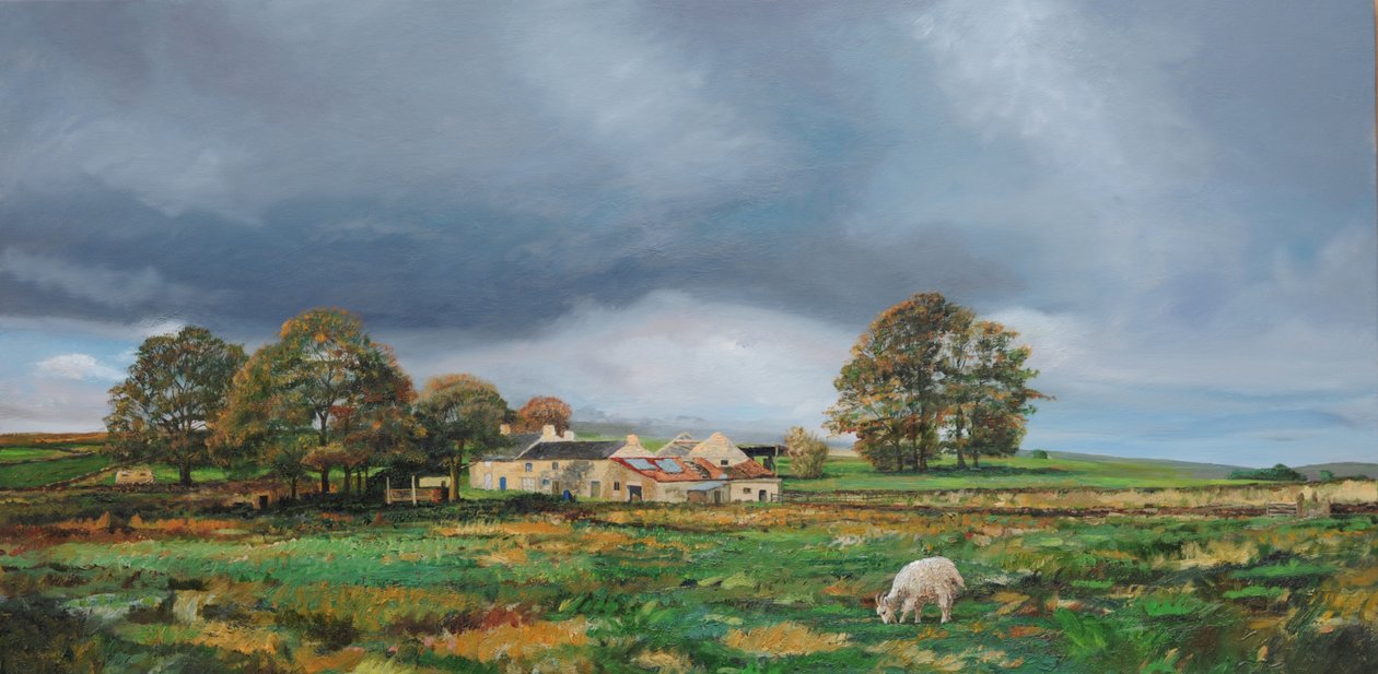 Old Farm, Monyash, Derbyshire, 2009 af Trevor Neal