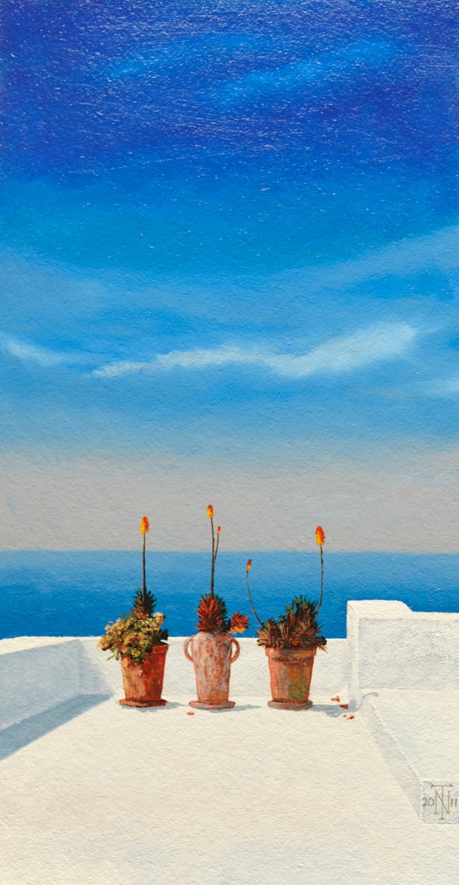 Santorini 8, 2010 af Trevor Neal