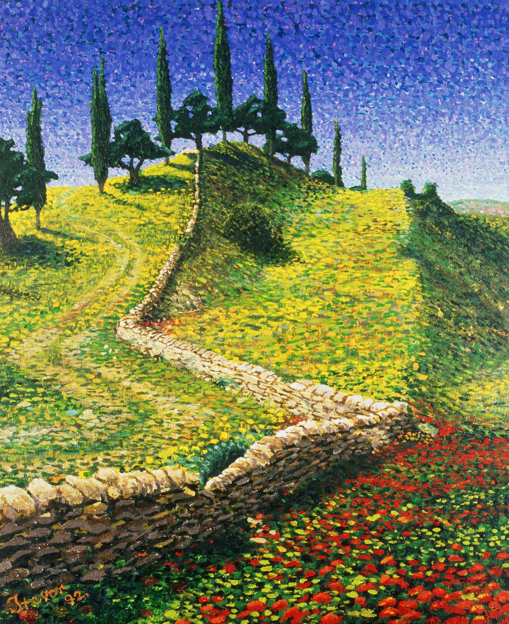 Spansk bakketop, 1992 af Trevor Neal