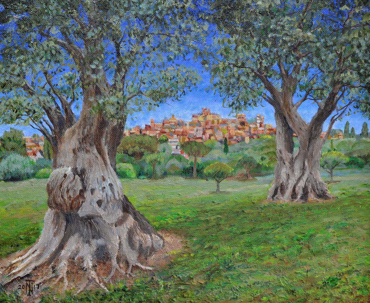 Udsigt over Cagnes Sur Mer fra Renoirs have, 2017 af Trevor Neal