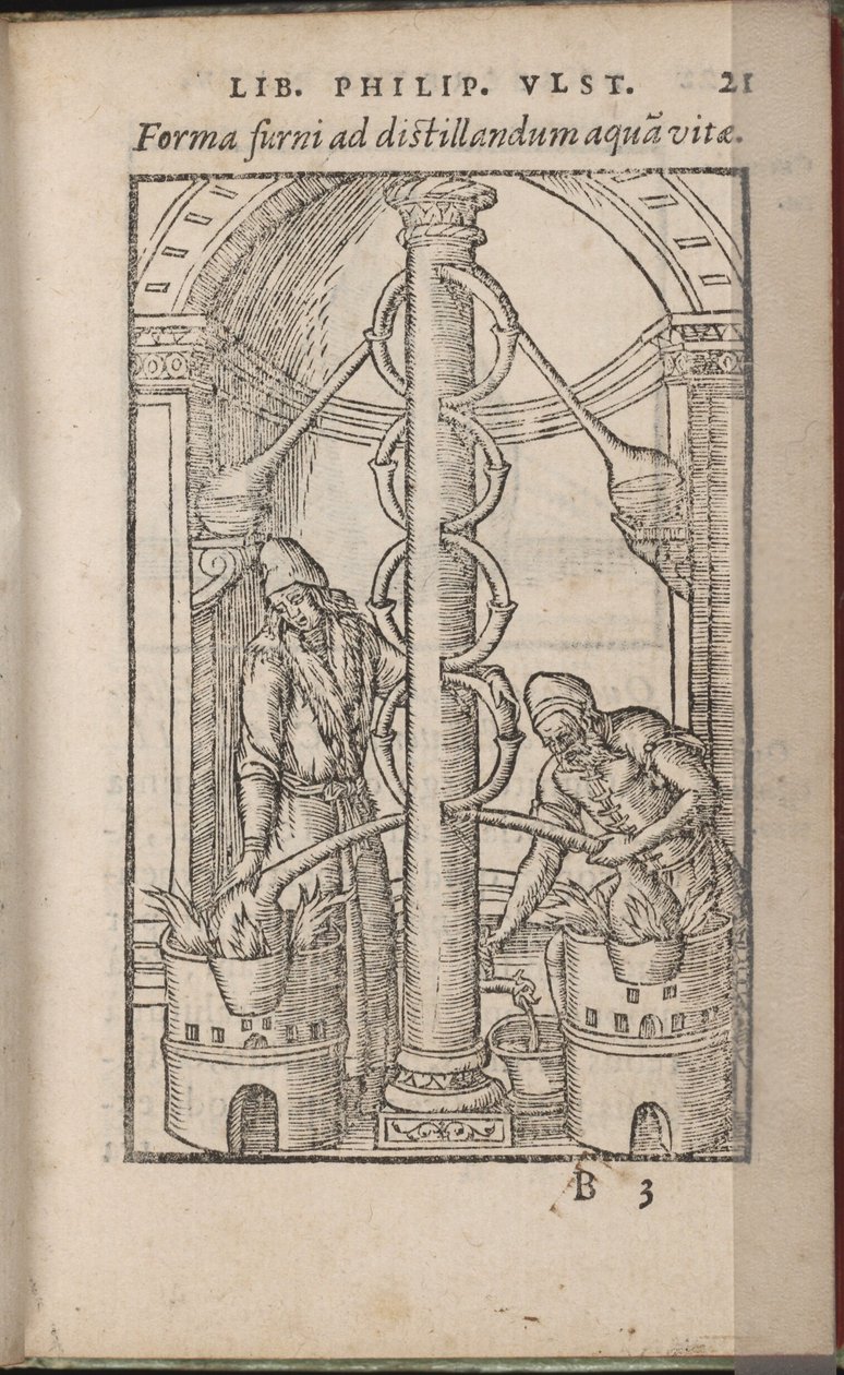 Alkymistisk apparat fra: The Book of the Secrets of Nature, 1556-1557 af Ulstadius