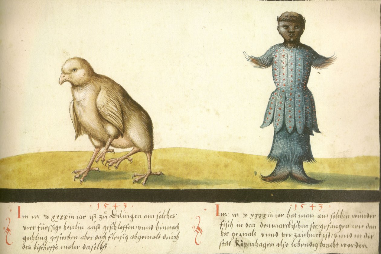 Folio 145- Vidunderlig kylling og vidunderlig fisk 1543 af Unbekannt Unbekannt