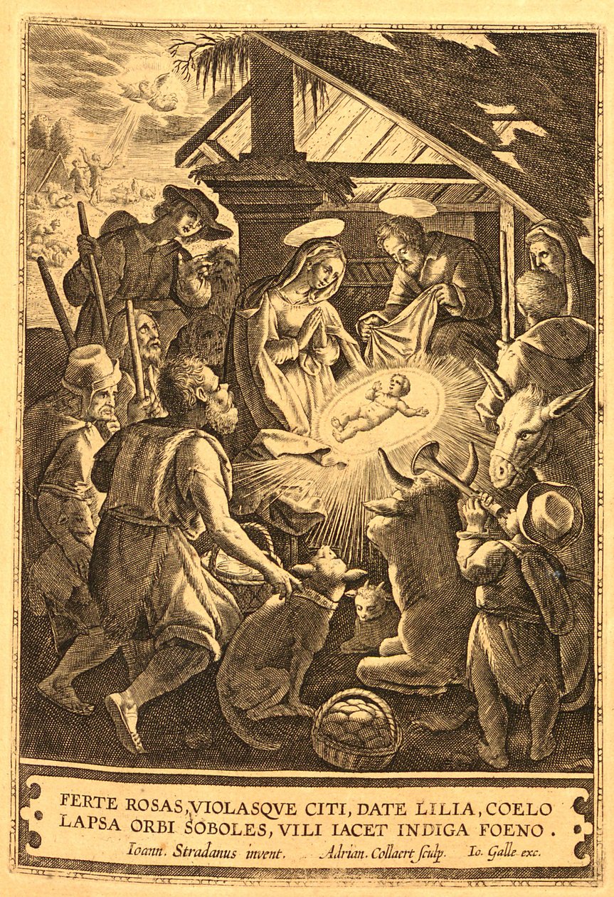 Det Nye Testamentes historie - 1722 - (119) af Unbekannt Unbekannt