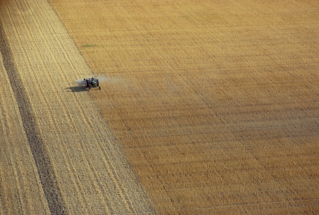 En traktor høster af Unbekannt Unbekannt