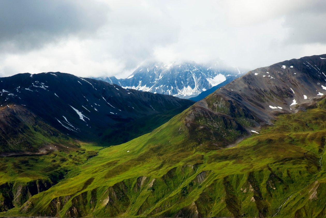 Alaskan tundra, Denali National Park, Alaska af Unbekannt Unbekannt