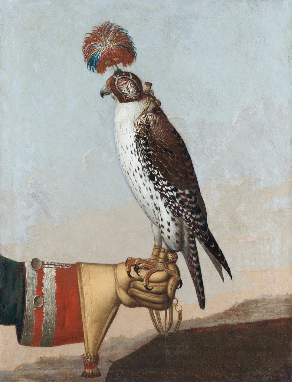 Islandsk gyrfalcon af Unbekannt Unbekannt
