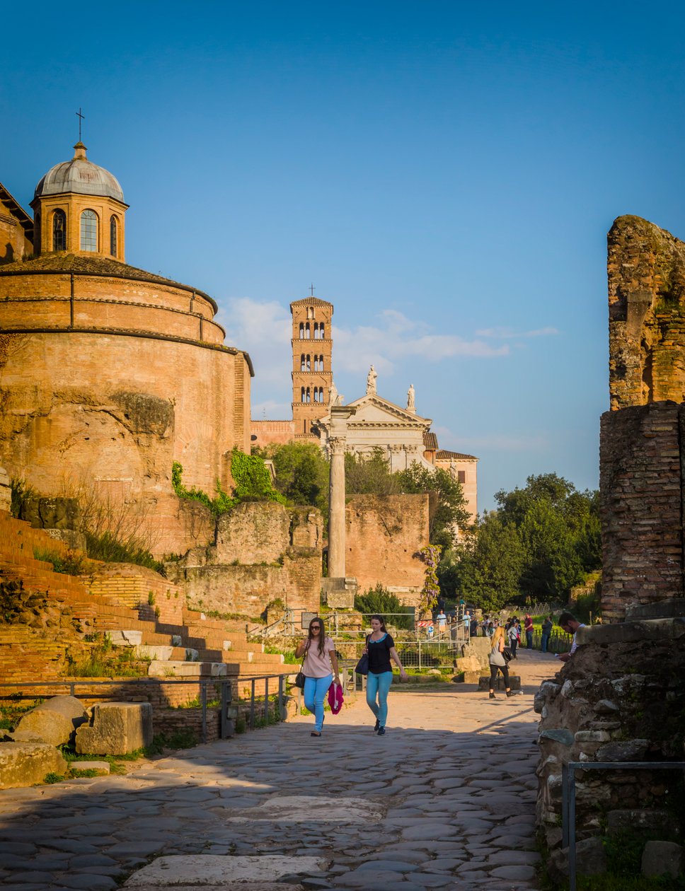 Rom, Italien. Forum Romanum. af Unbekannt Unbekannt