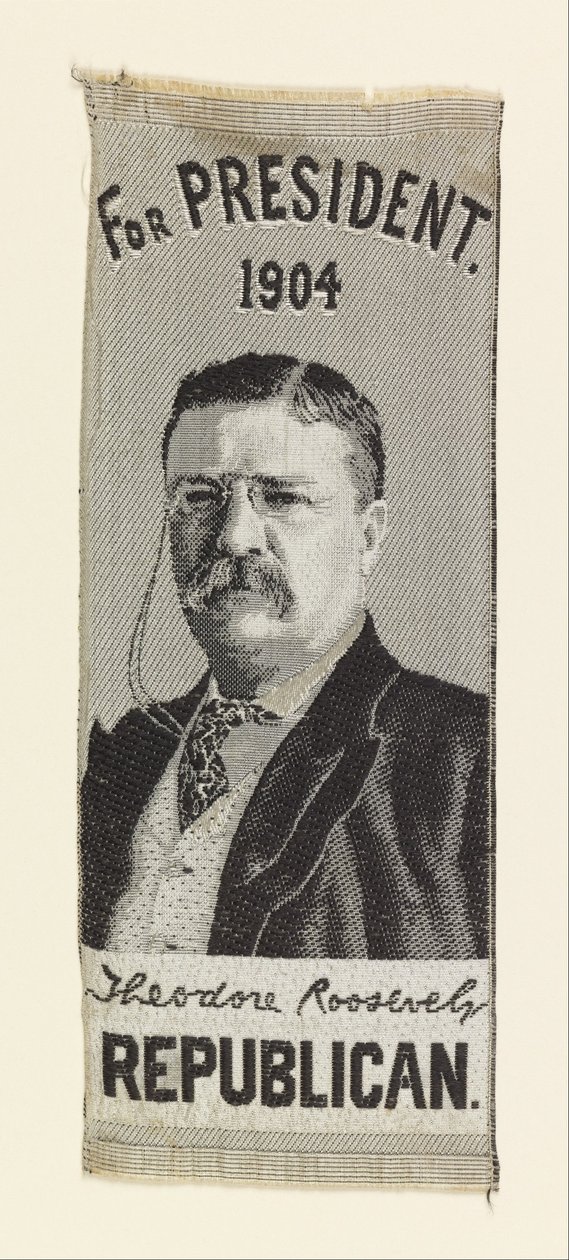 Theodore Roosevelt af Unbekannt Unbekannt