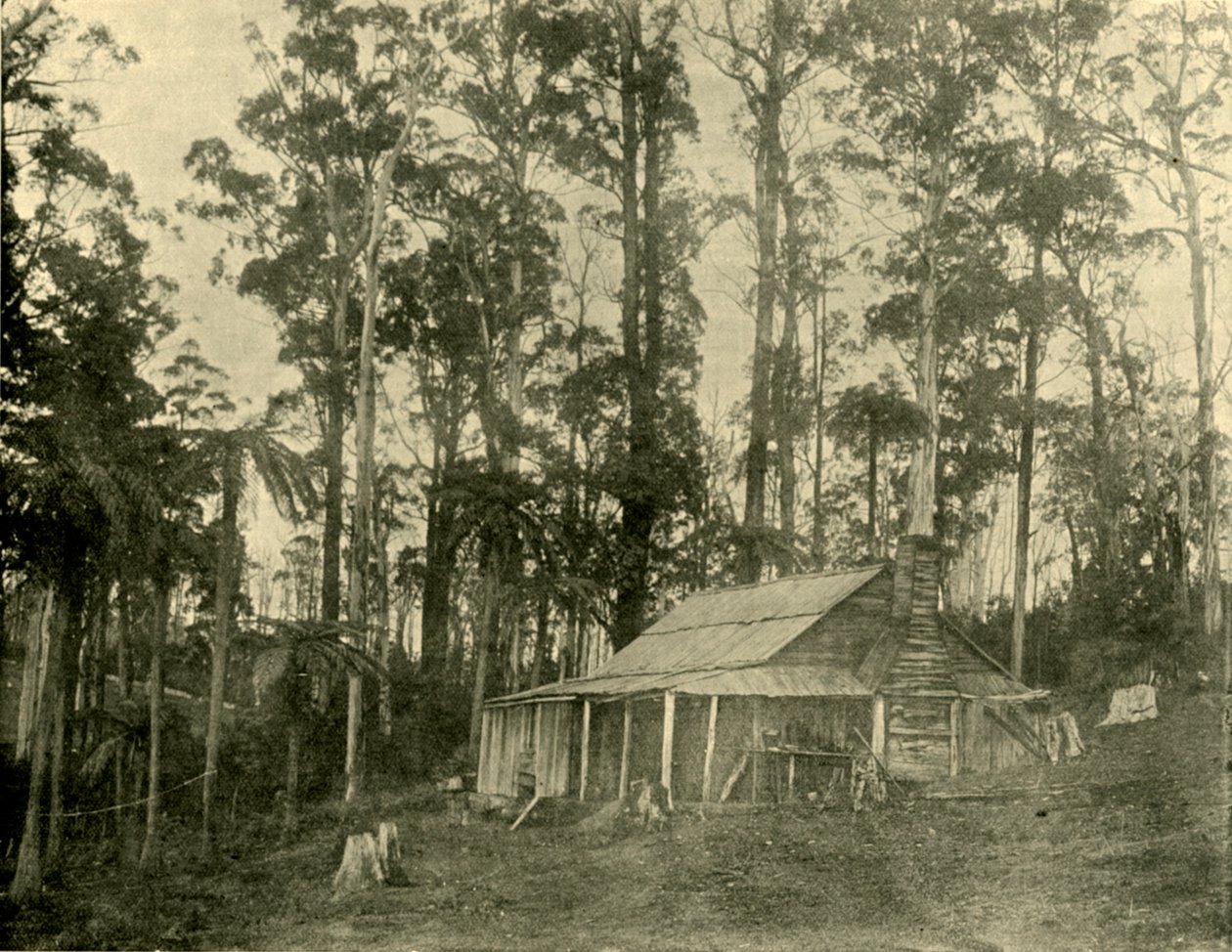 En rustik bolig, 1901. af Unbekannt