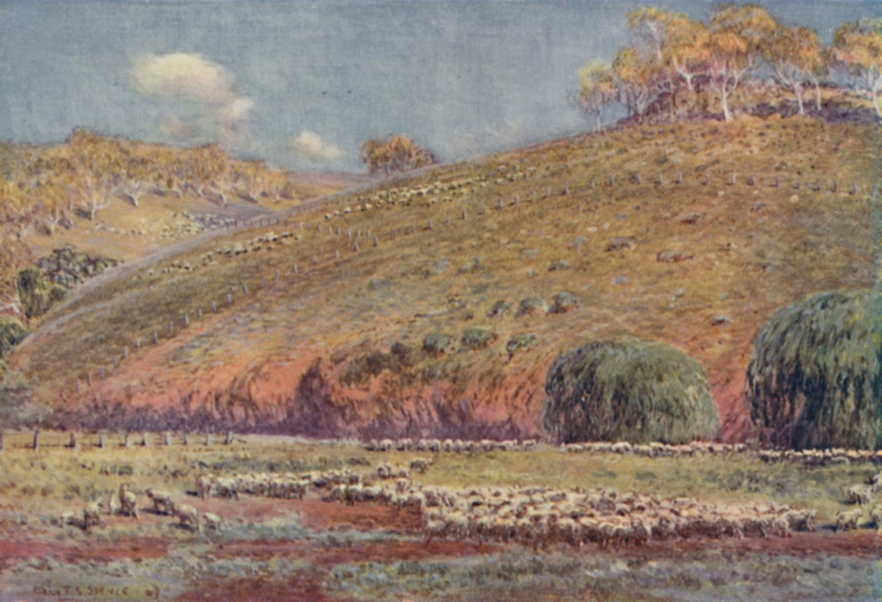 Et fåreløb, 1923. af Unbekannt