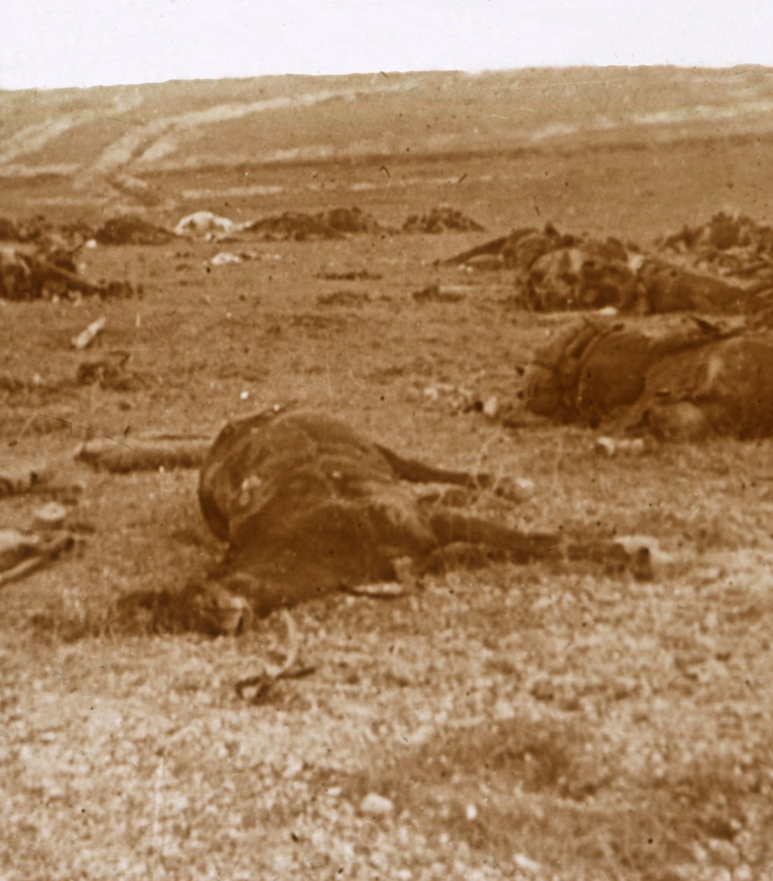 Efter anklagen, Beauséjour, Nordfrankrig, c1914-c1918 af Unbekannt