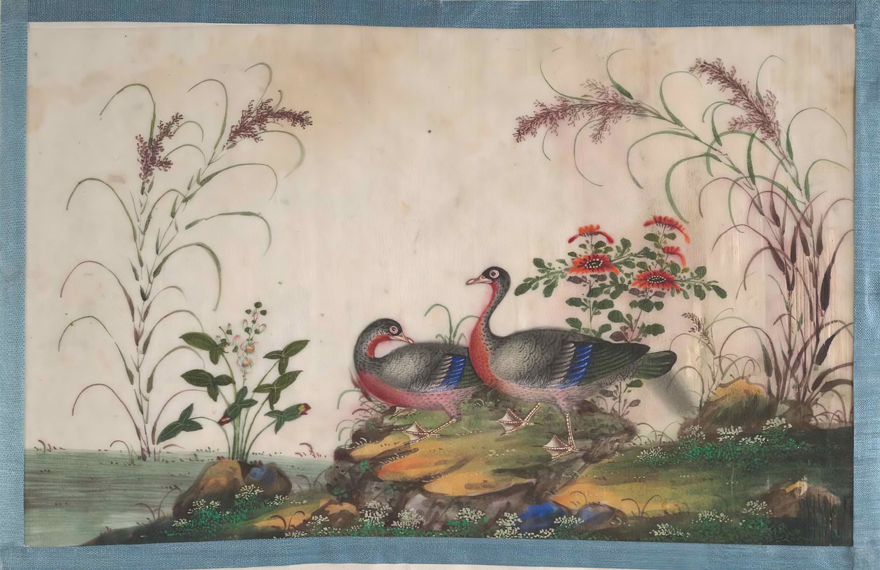 Album indeholdende tolv malerier af fugle, 1800-tallet. af Unbekannt