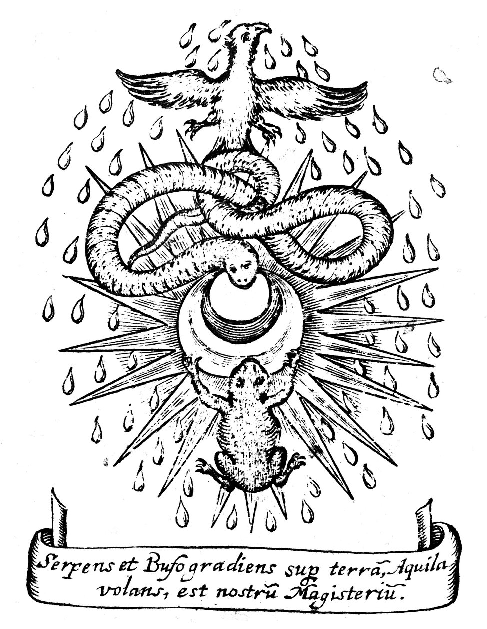 Alkymistisk symbolisme, 1652 af Unbekannt