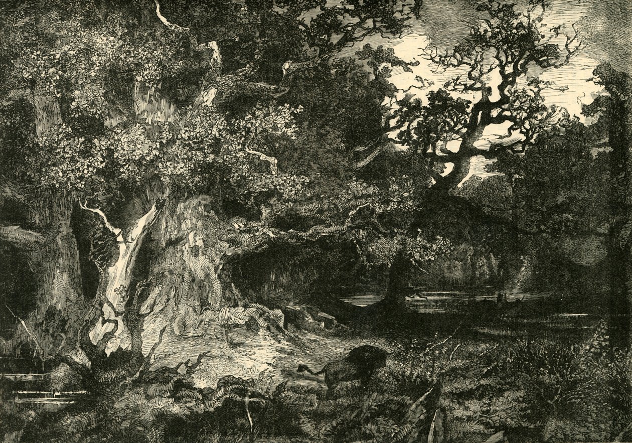 En gammel tysk skov, 1890. af Unbekannt