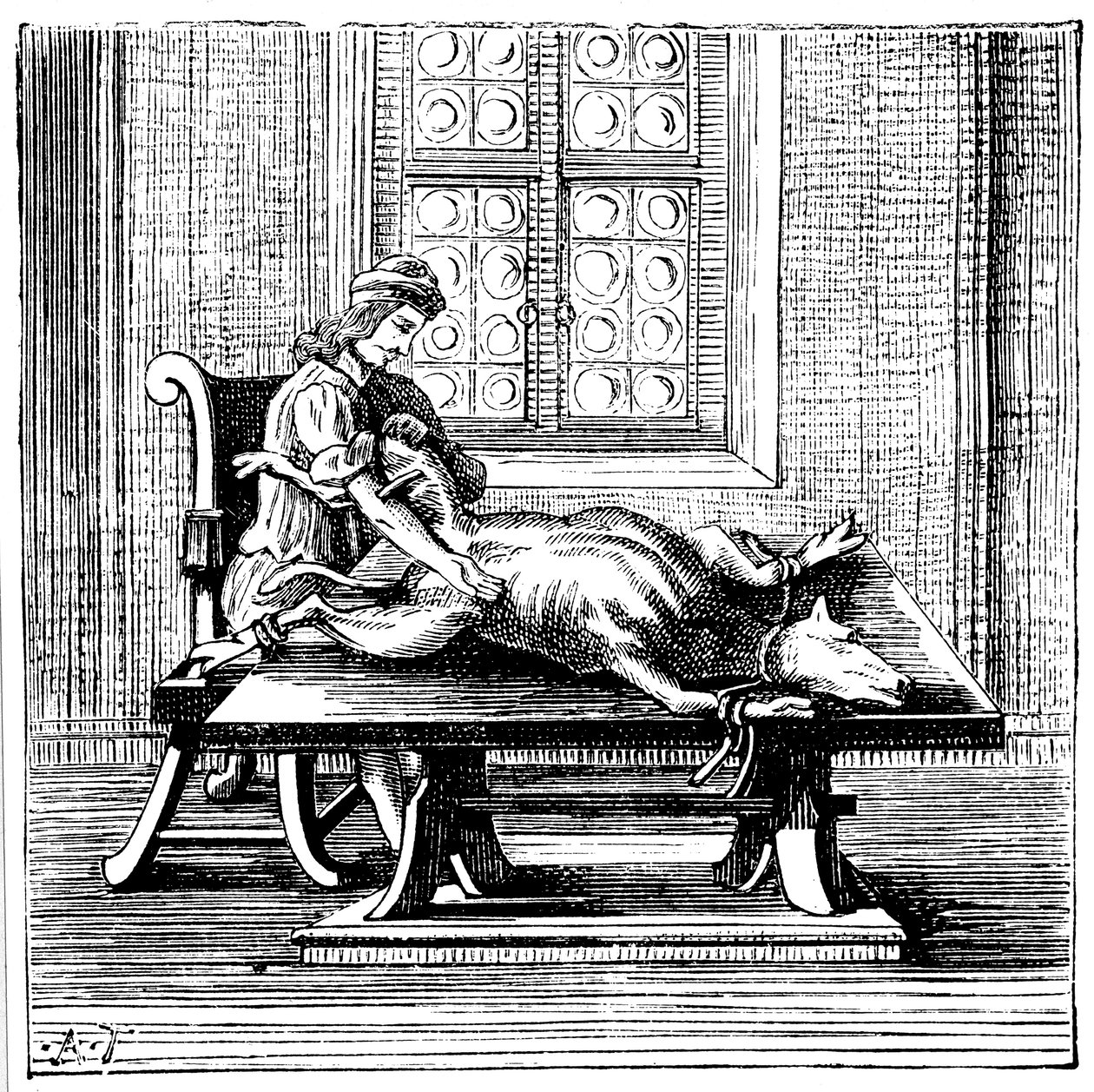 Dyre-til-menneske blodtransfusion, 1679 af Unbekannt