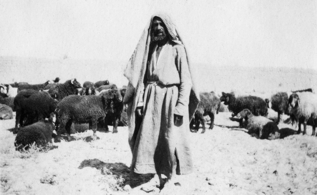 Arabisk hyrde, Kazimain-området, Irak, 1917-1919 af Unbekannt