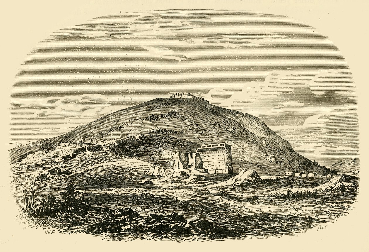 Argos, 1890. af Unbekannt