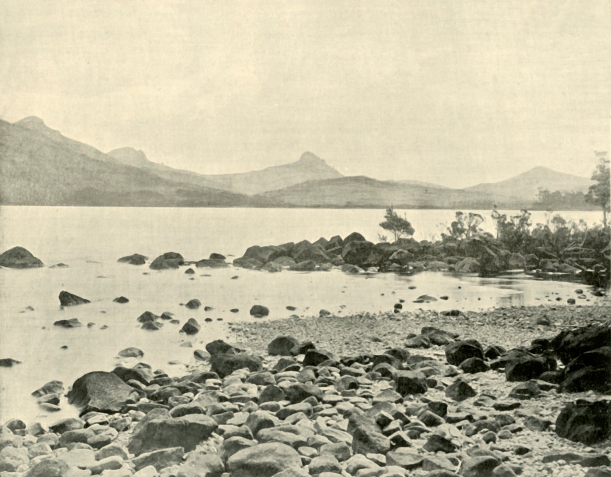 Ved Lake St. Clair, 1901. af Unbekannt