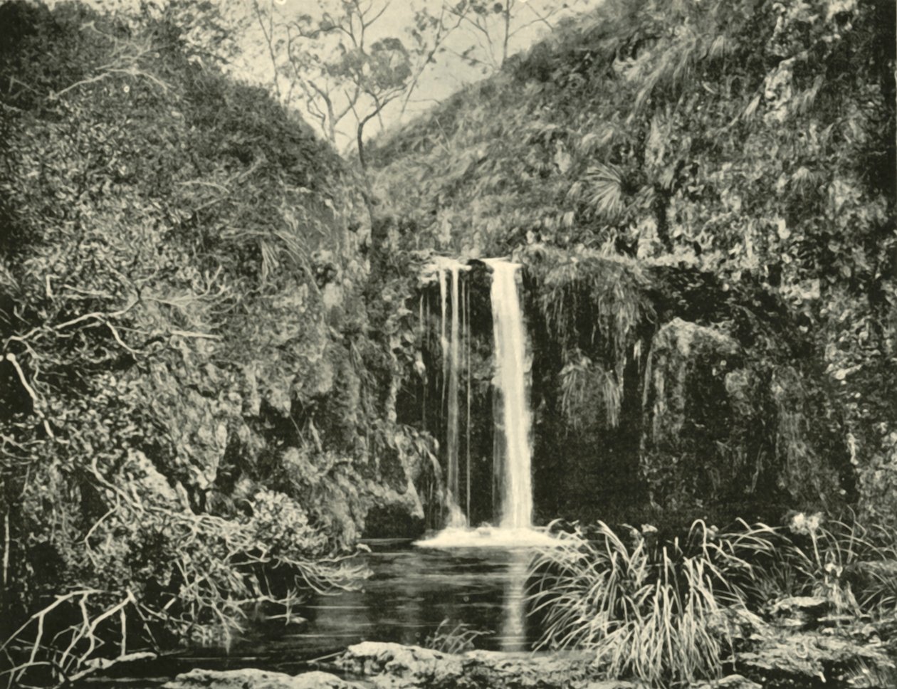 Back Creek Falls, Buchan River, Victoria, 1901. af Unbekannt