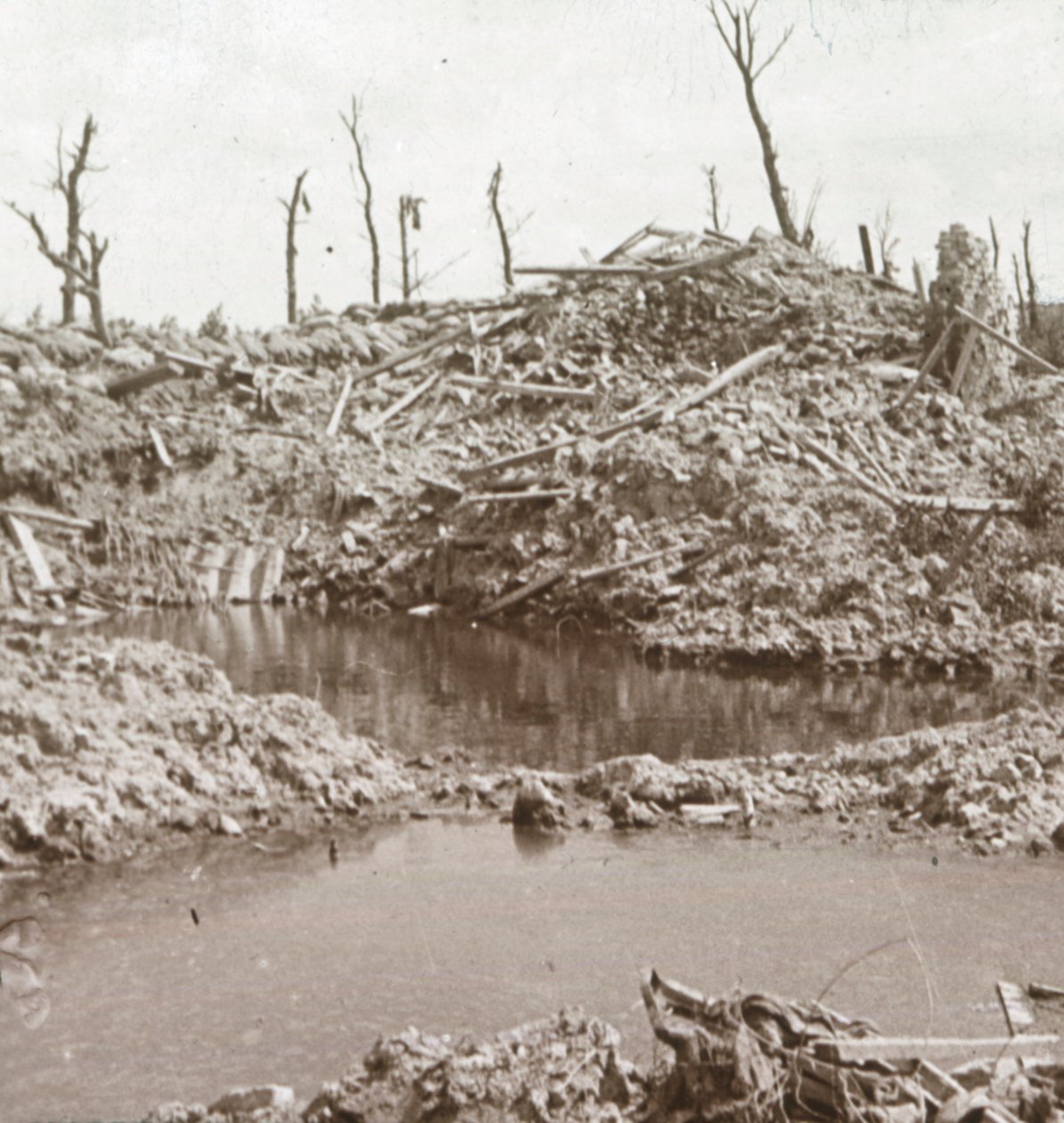 Yser-flodens bredder, Diksmuide, Belgien, c1914-c1918 af Unbekannt