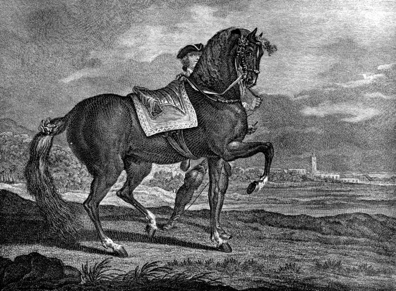 Barb, 1722 1938 af Unbekannt