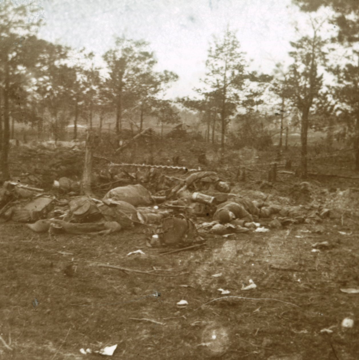 Slaget ved Champagne, Souain, Nordfrankrig, c1915. af Unbekannt