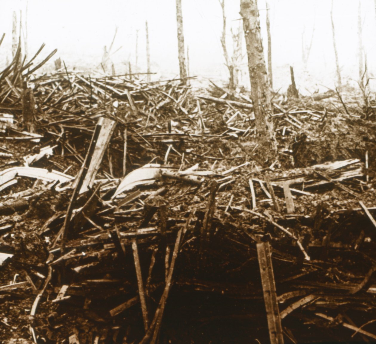 Battlefield, c1914-c1918 af Unbekannt