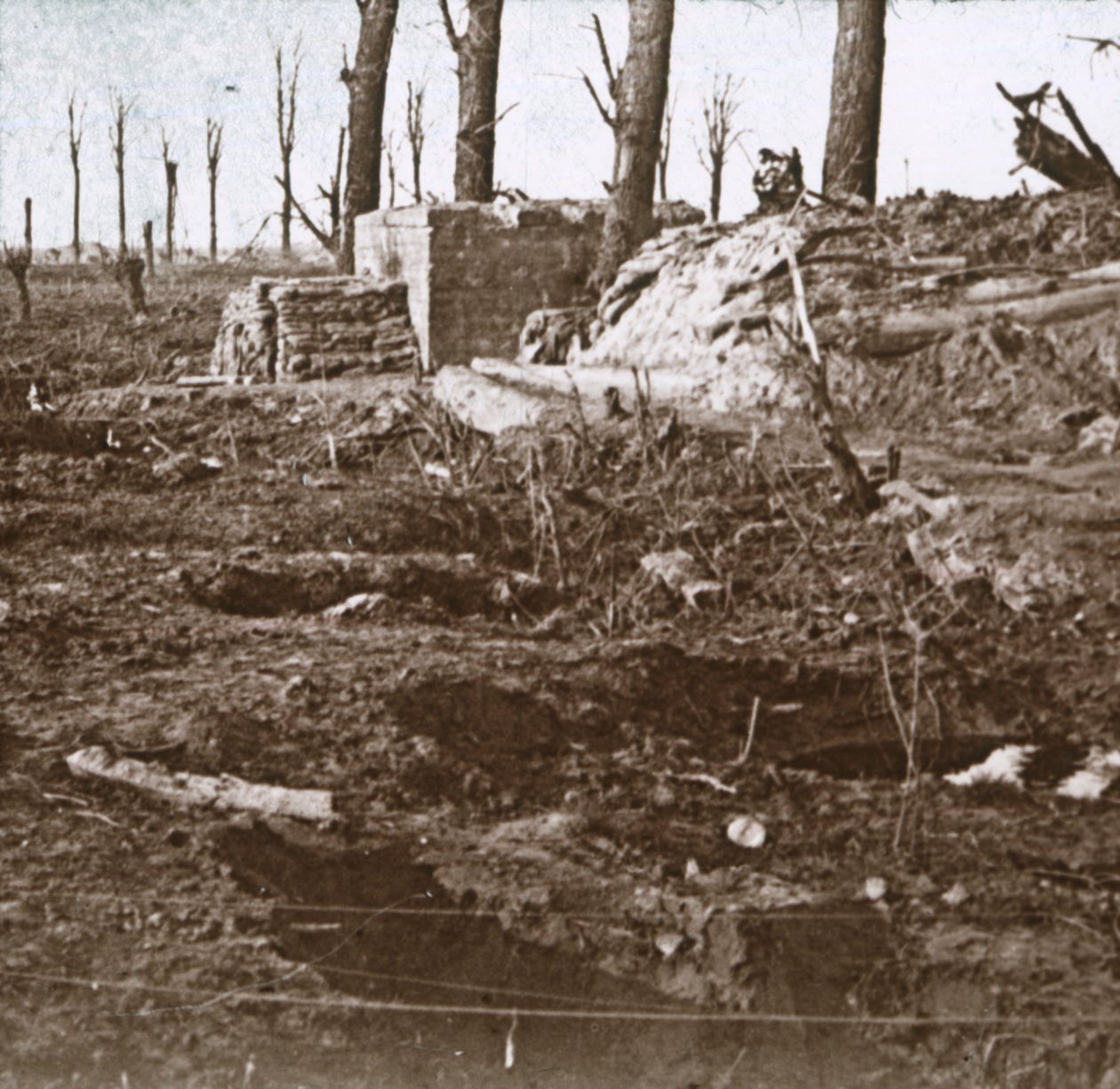 Battlefield, c1914-c1918 af Unbekannt