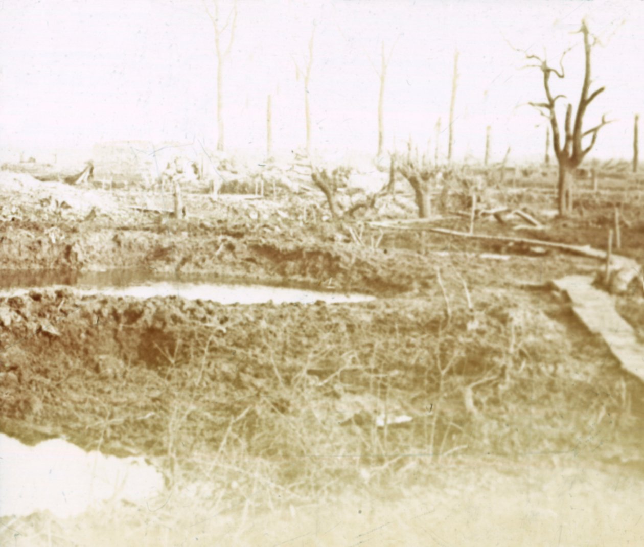 Battlefield, c1914-c1918 af Unbekannt