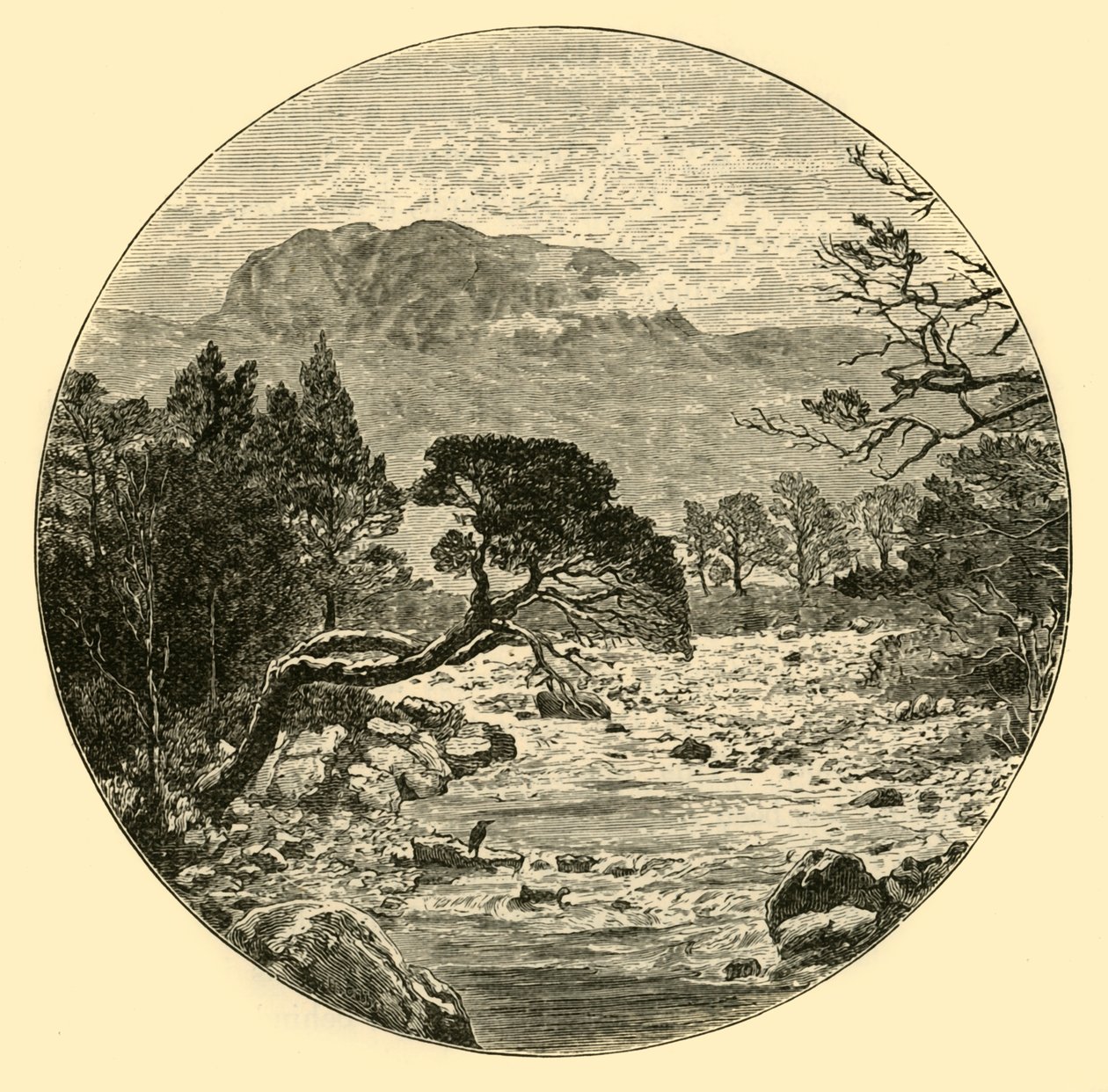 Ben Slioch, 1898. af Unbekannt