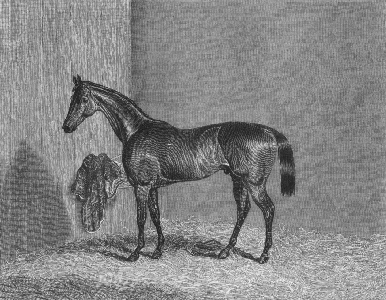 Bloomsbury, 1836-1861, 1911 af Unbekannt