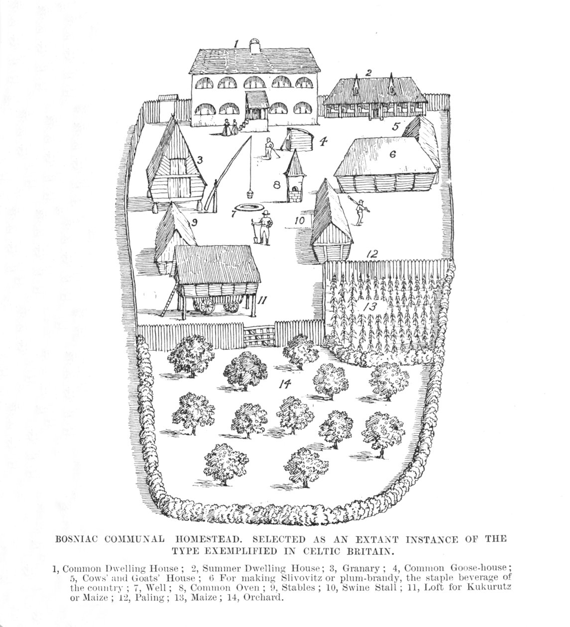 Bosniac Kommunal Homestead, 1902. af Unbekannt