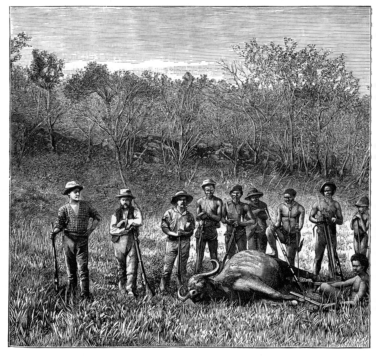 Bøffeljægere i Transvaal, Sydafrika, c1890 af Unbekannt