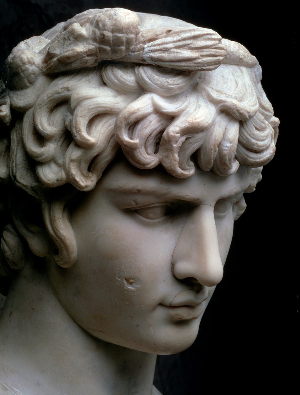 Buste af Antinous, midten af det 2. århundrede e.Kr af Unbekannt