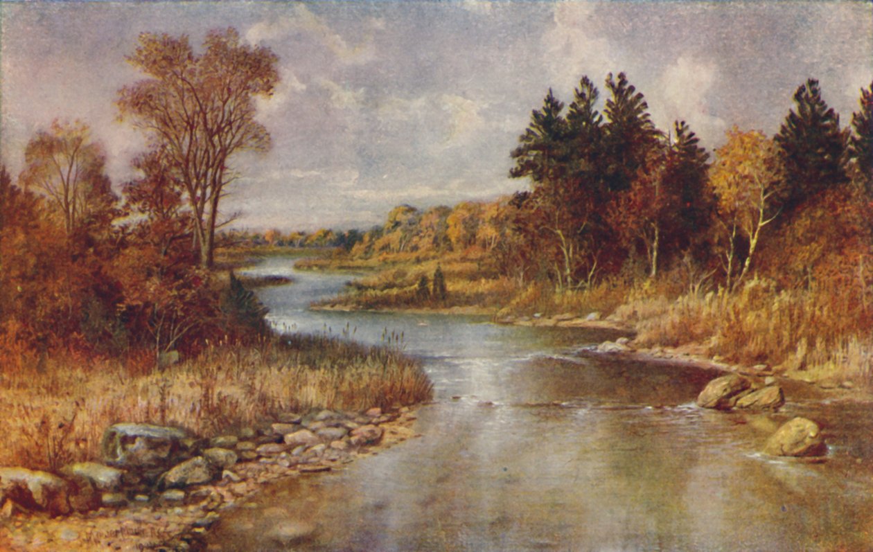 Canadisk skovscene, 1924 af Unbekannt