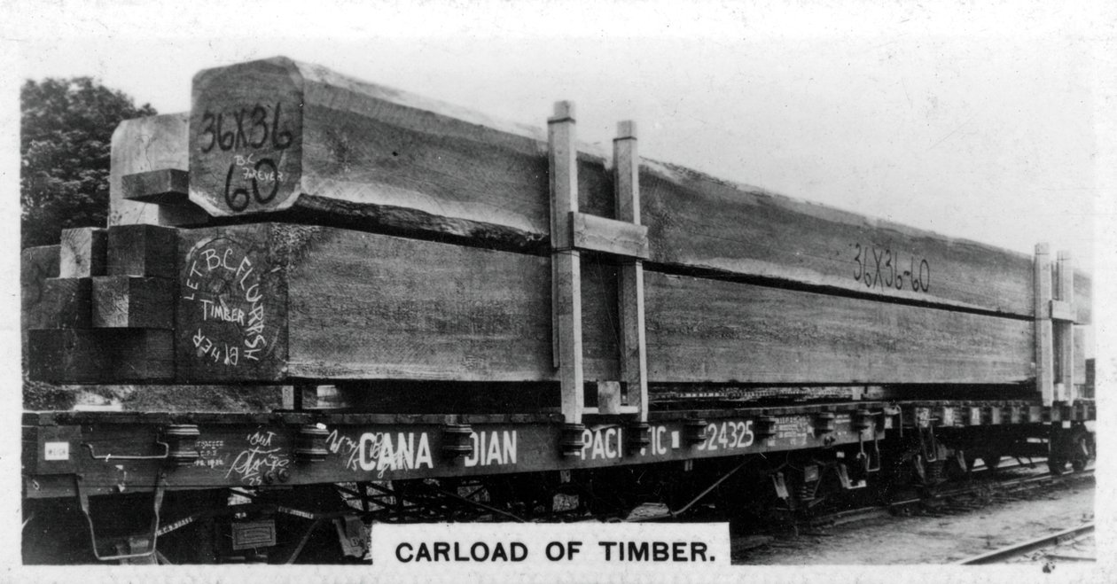 Carload af douglasgran, Canada, c1920