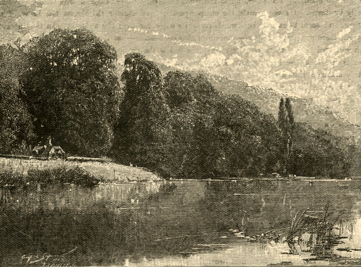 Cliefden Woods, 1898. af Unbekannt