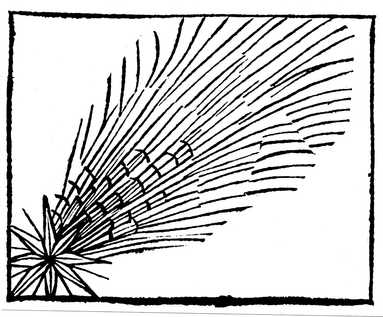 Komet af 684 Halley, 1493 af Unbekannt