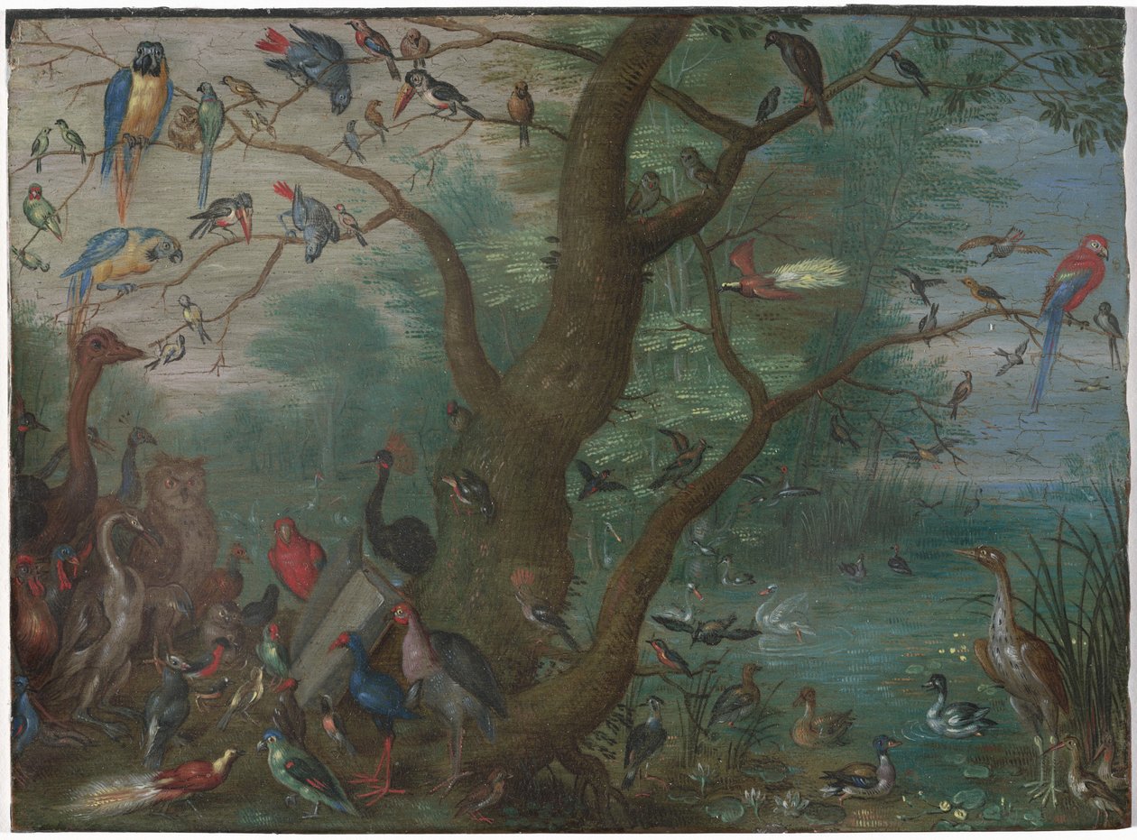 Fuglekoncert, 16601670. af Unbekannt