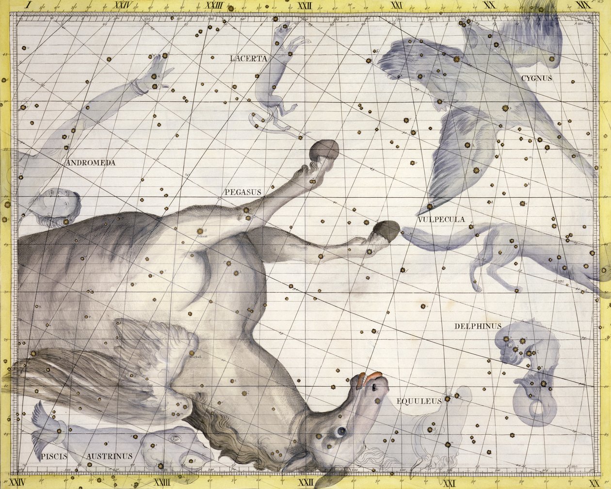 Konstellationen Pegasus, 1729 af Unbekannt